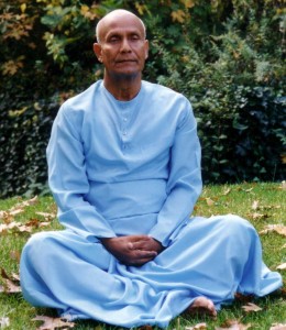 Meditation-in-Wiese